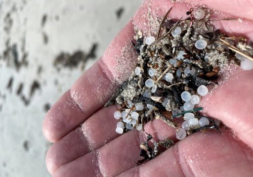 Har du funnet slike plastpellets?