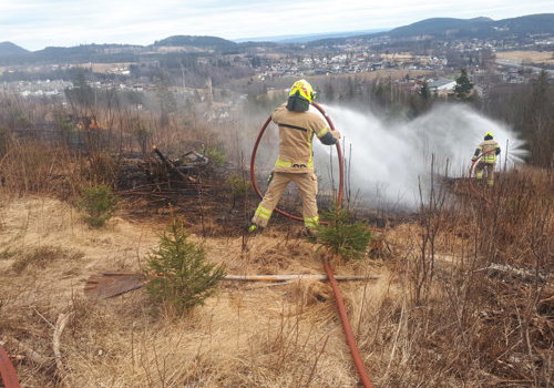 DRBVs årsmelding for 2020